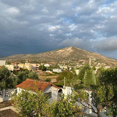 Kalivia Thorikou Agapis Residence מראה חיצוני תמונה