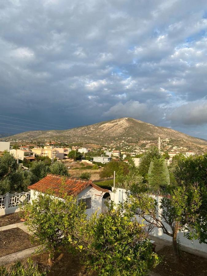 Kalivia Thorikou Agapis Residence מראה חיצוני תמונה